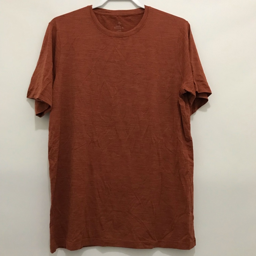 WoolX Men's Crew Neck T-Shirt in Rust Brown Size L - Picture 1 of 5